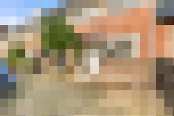 Tureluur 13 Velserbroek thumbnail 11