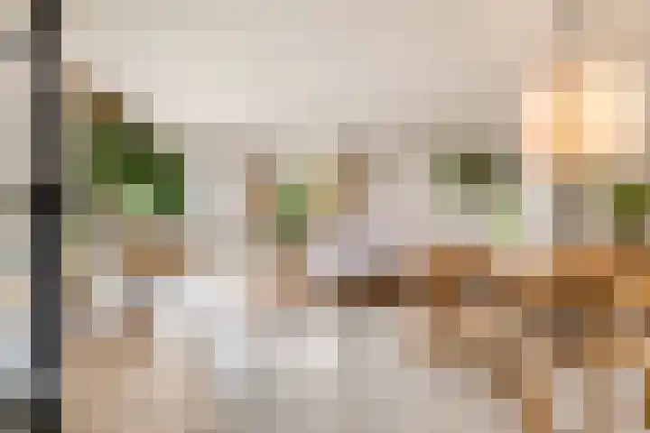 Tureluur 13 Velserbroek thumbnail 14