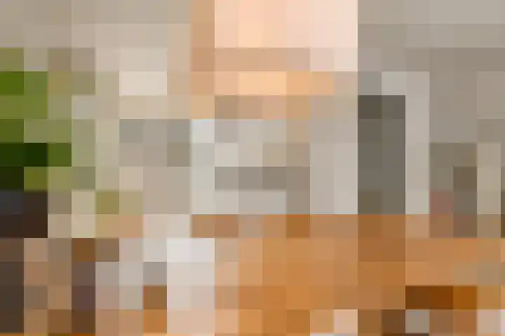 Tureluur 13 Velserbroek thumbnail 15