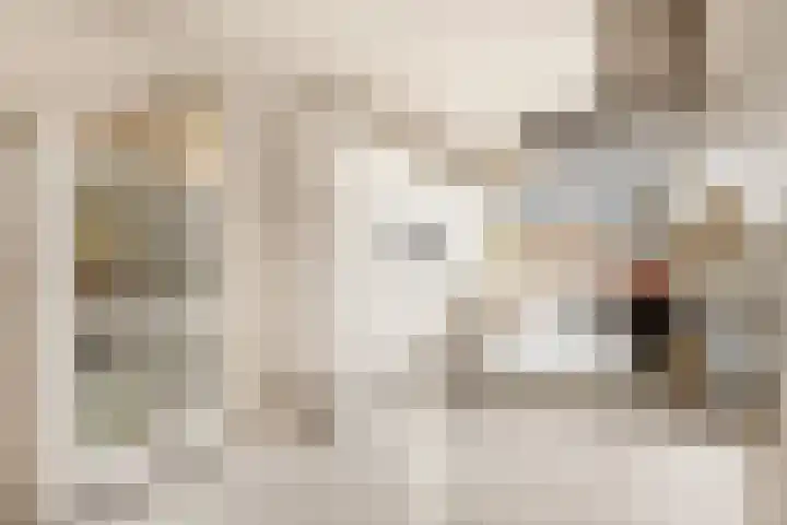 Tureluur 13 Velserbroek thumbnail 16