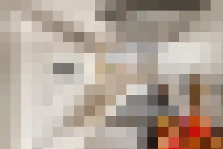 Tureluur 13 Velserbroek thumbnail 17