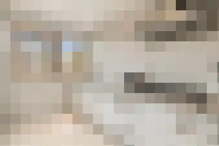 Tureluur 13 Velserbroek thumbnail 18