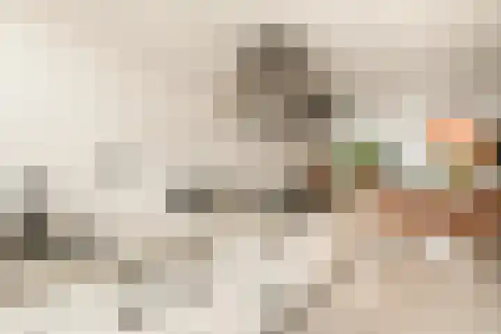 Tureluur 13 Velserbroek thumbnail 19