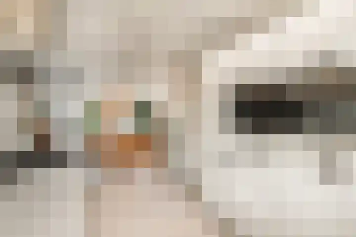 Tureluur 13 Velserbroek thumbnail 20