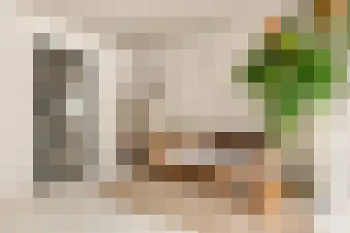 Tureluur 13 Velserbroek thumbnail 23