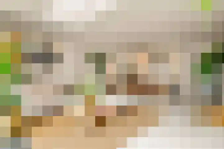 Tureluur 13 Velserbroek thumbnail 24