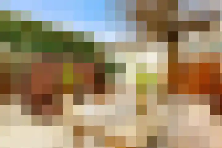 Tureluur 13 Velserbroek thumbnail 26