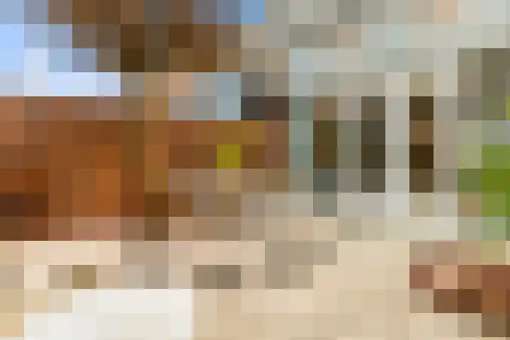 Tureluur 13 Velserbroek thumbnail 27