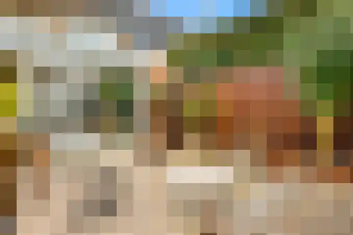Tureluur 13 Velserbroek thumbnail 28