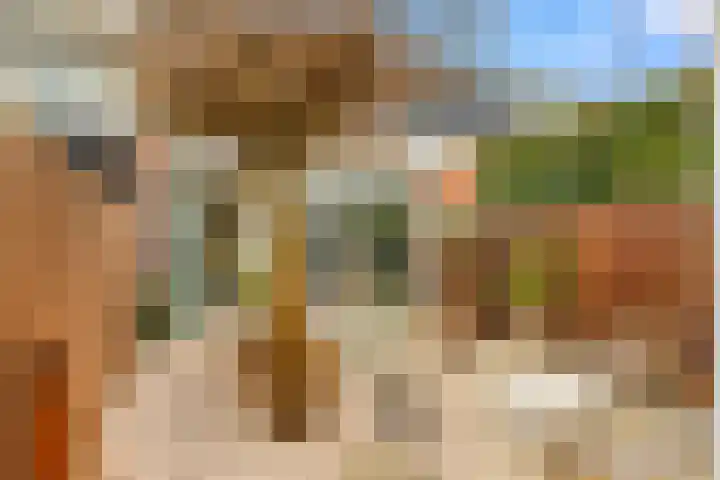 Tureluur 13 Velserbroek thumbnail 29