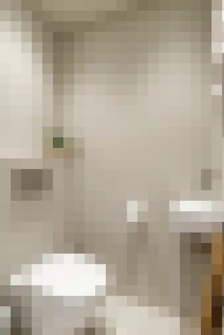 Tureluur 13 Velserbroek thumbnail 30