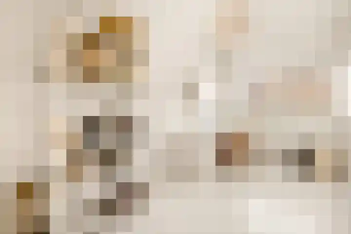 Tureluur 13 Velserbroek thumbnail 32