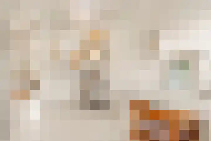 Tureluur 13 Velserbroek thumbnail 33