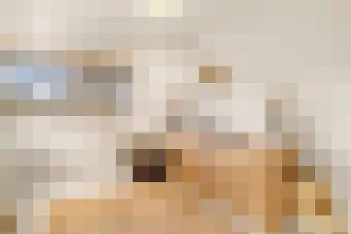 Tureluur 13 Velserbroek thumbnail 39