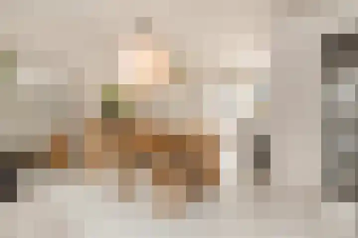 Tureluur 13 Velserbroek thumbnail 4