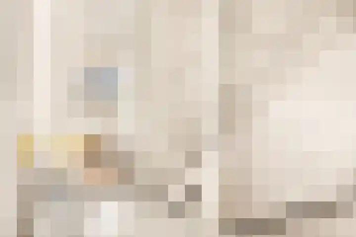 Tureluur 13 Velserbroek thumbnail 41