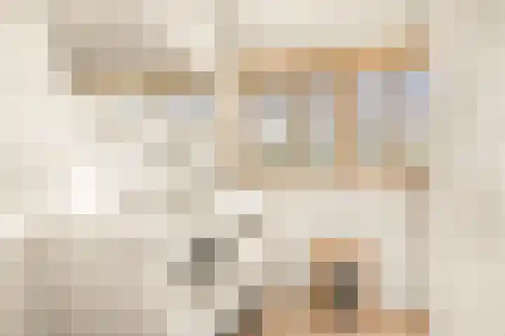 Tureluur 13 Velserbroek thumbnail 42