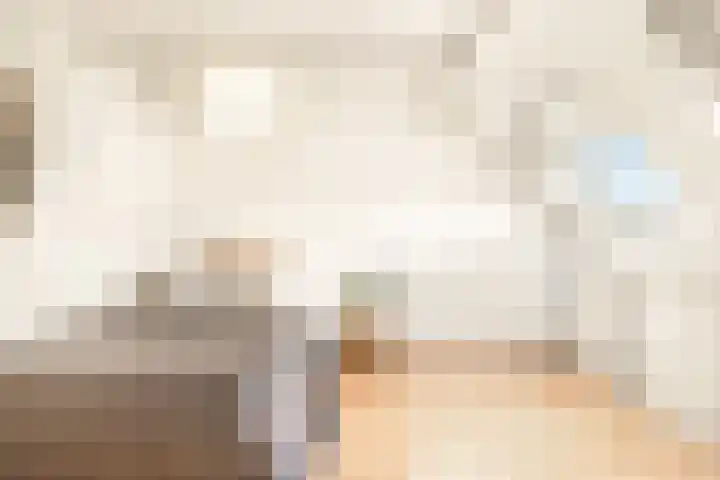 Tureluur 13 Velserbroek thumbnail 46