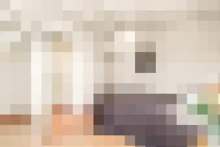 Tureluur 13 Velserbroek thumbnail 47