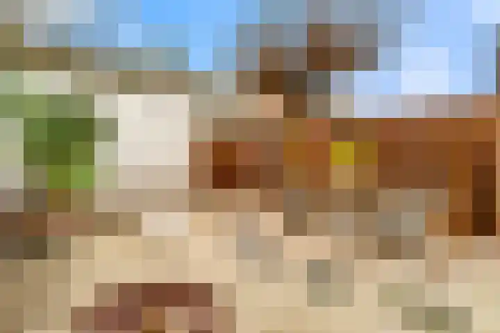 Tureluur 13 Velserbroek thumbnail 5