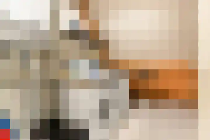 Tureluur 13 Velserbroek thumbnail 50