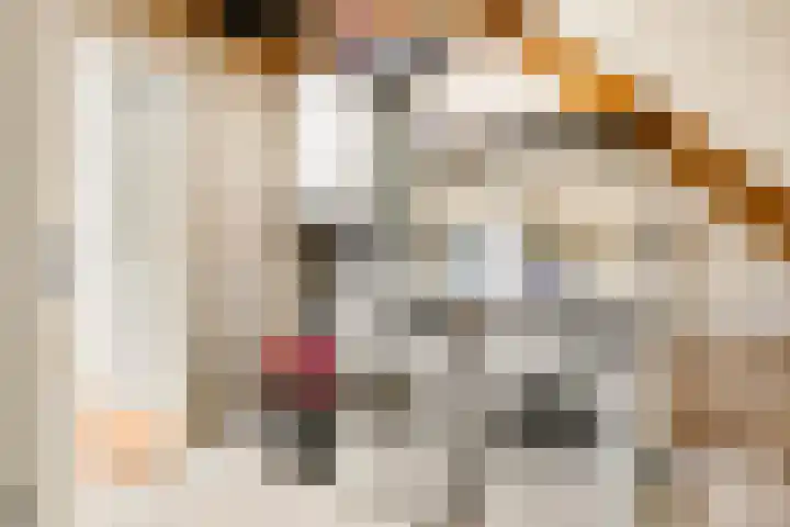 Tureluur 13 Velserbroek thumbnail 51