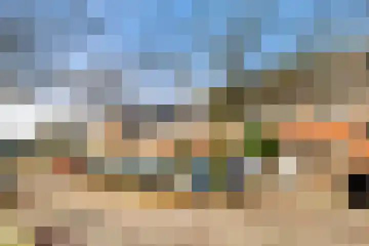 Tureluur 13 Velserbroek thumbnail 6