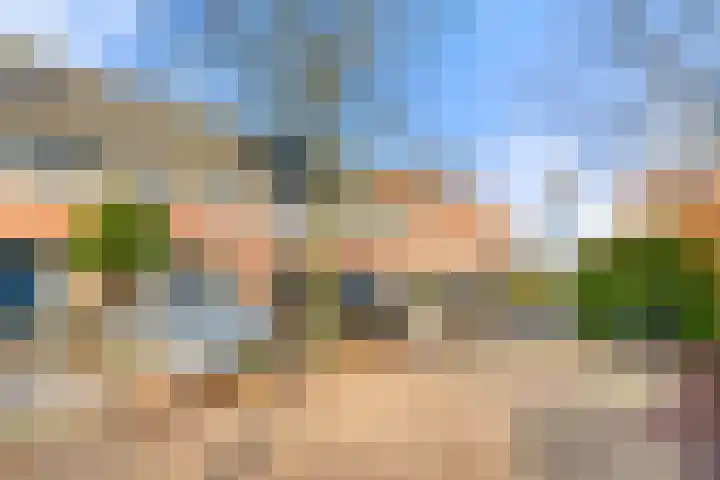 Tureluur 13 Velserbroek thumbnail 7