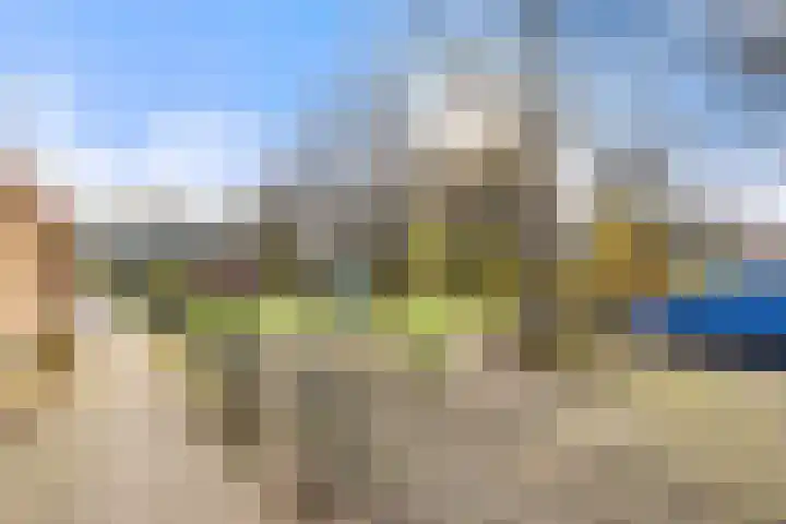 Tureluur 13 Velserbroek thumbnail 8