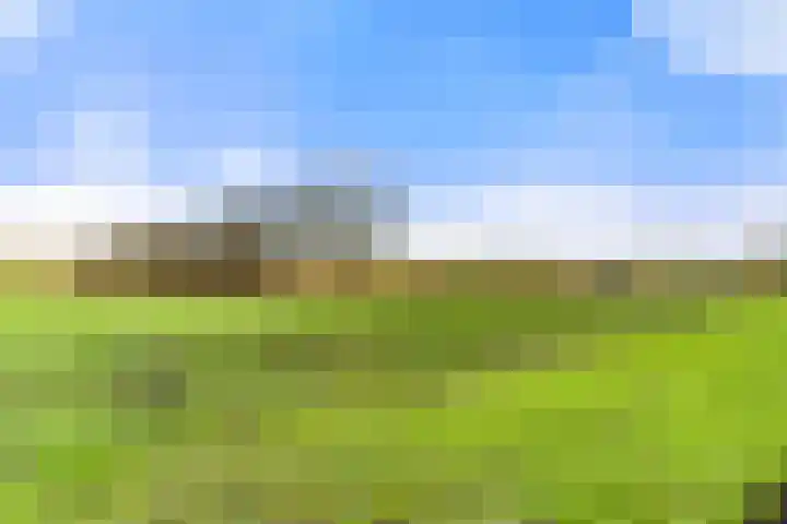 Tureluur 13 Velserbroek thumbnail 9