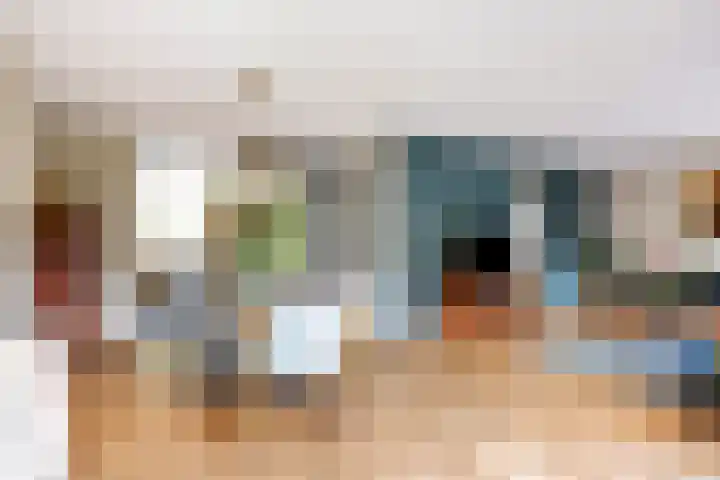 Tureluur 14 Veldhoven thumbnail 10