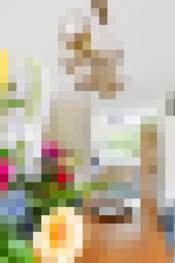 Tureluur 14 Veldhoven thumbnail 12