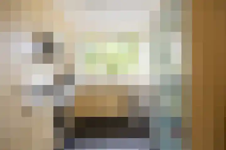 Tureluur 14 Veldhoven thumbnail 13