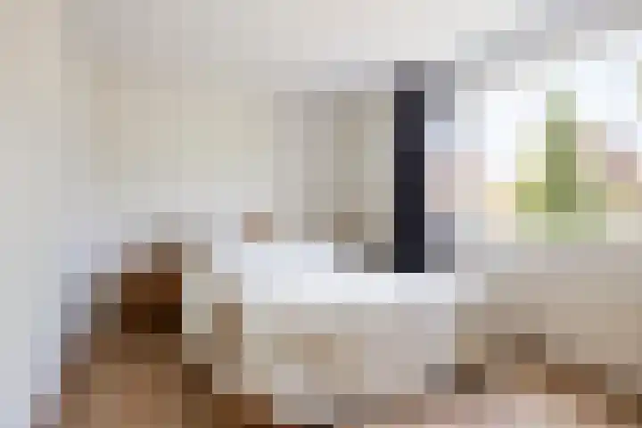 Tureluur 14 Veldhoven thumbnail 16