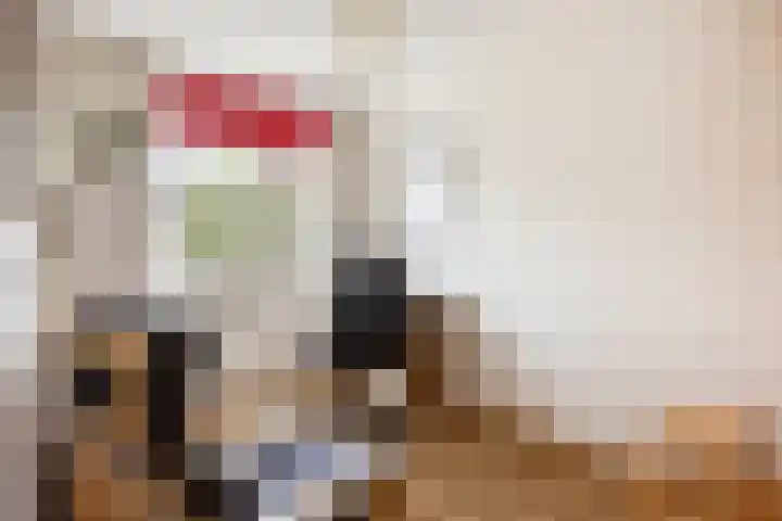 Tureluur 14 Veldhoven thumbnail 17