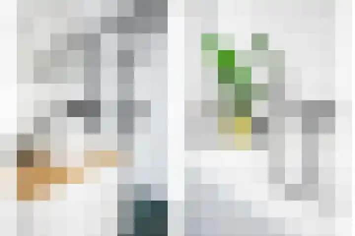 Tureluur 14 Veldhoven thumbnail 18