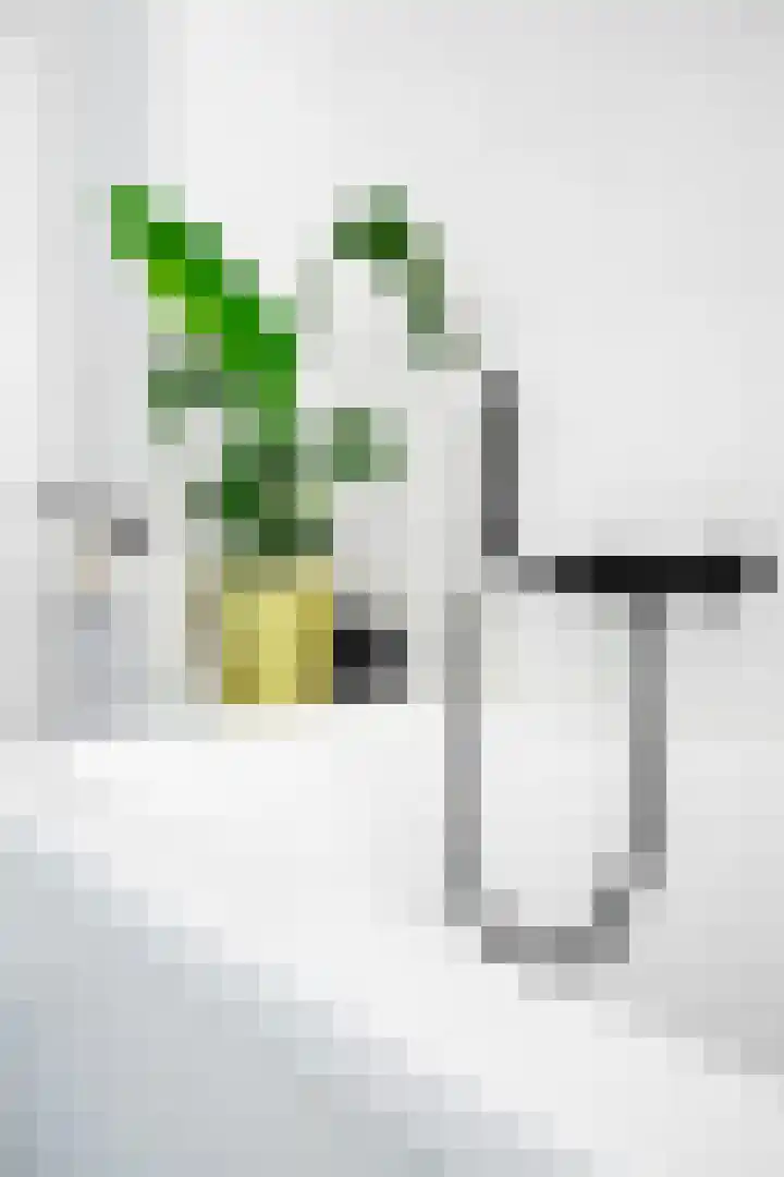 Tureluur 14 Veldhoven thumbnail 20