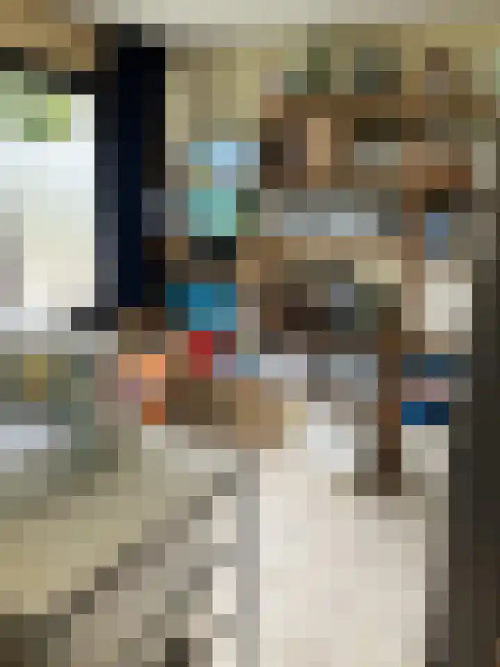 Tureluur 14 Veldhoven thumbnail 25