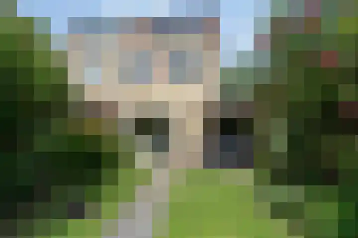 Tureluur 14 Veldhoven thumbnail 27