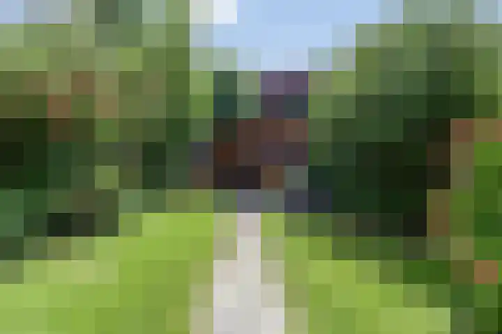 Tureluur 14 Veldhoven thumbnail 29