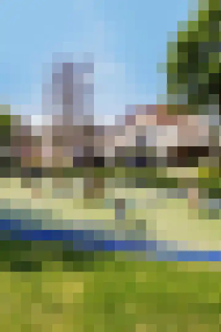 Tureluur 14 Veldhoven thumbnail 31