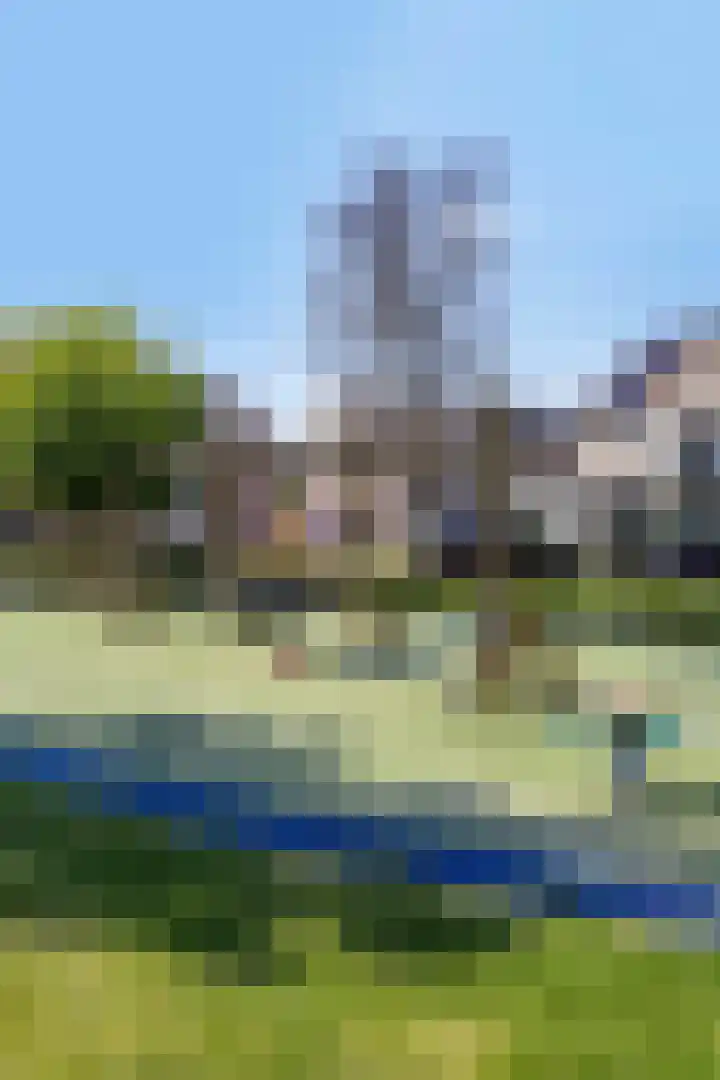 Tureluur 14 Veldhoven thumbnail 32