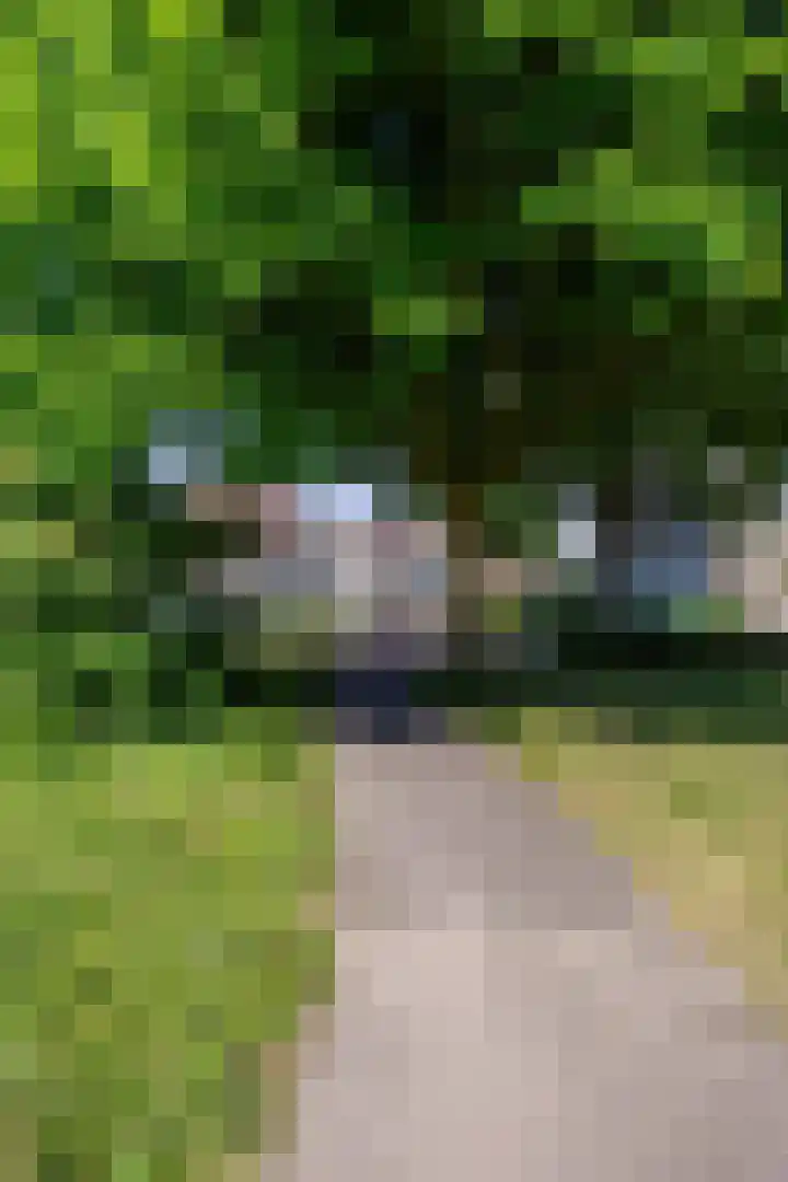 Tureluur 14 Veldhoven thumbnail 33