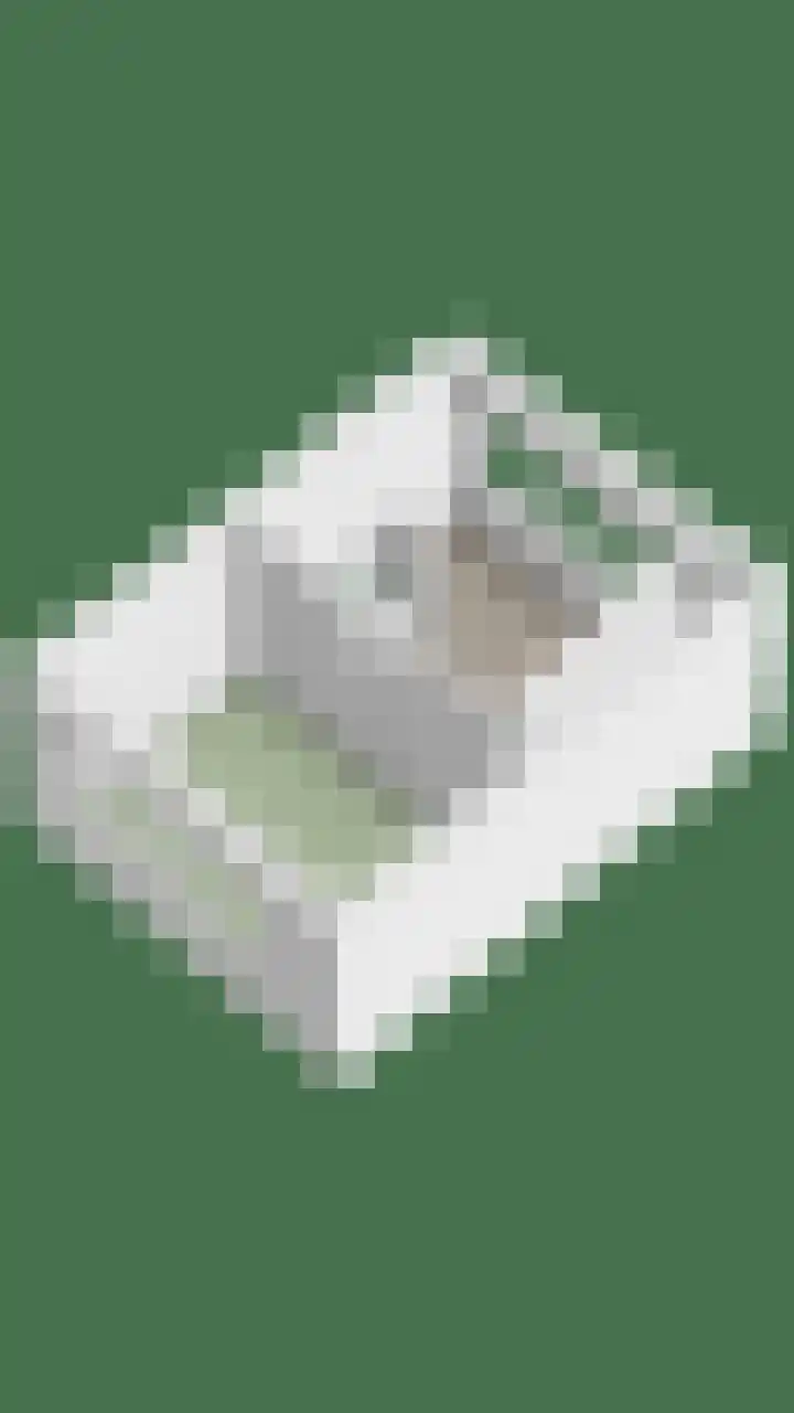 Tureluur 14 Veldhoven thumbnail 40
