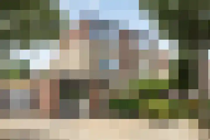Tureluur 14 Veldhoven thumbnail 43