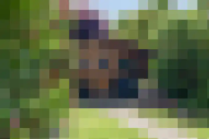 Tureluur 14 Veldhoven thumbnail 5