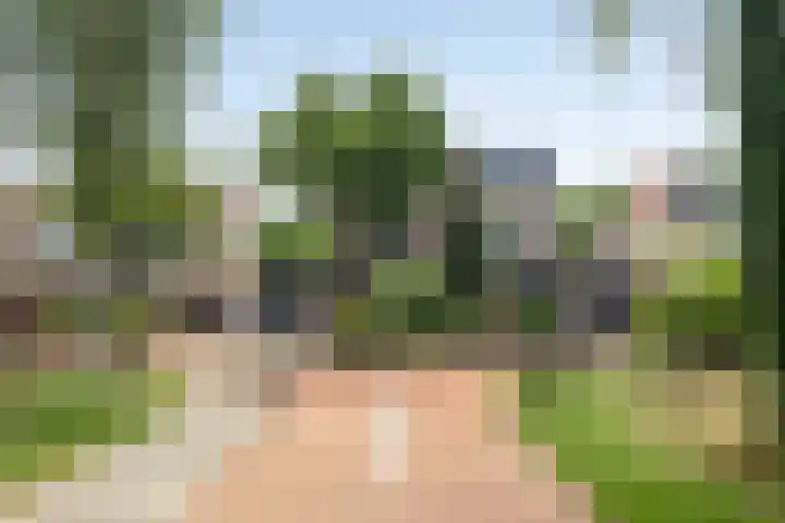 Tureluur 14 Veldhoven thumbnail 6