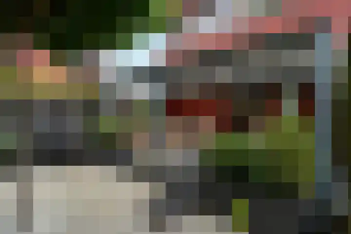 Tureluur 15 Waspik thumbnail 10