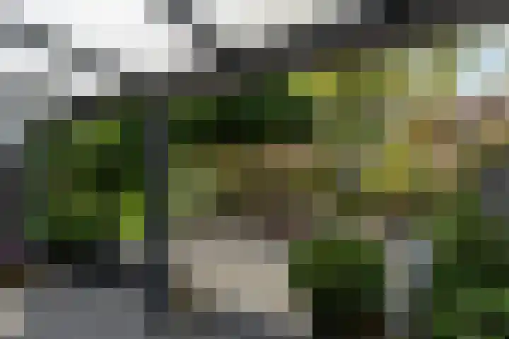Tureluur 15 Waspik thumbnail 11