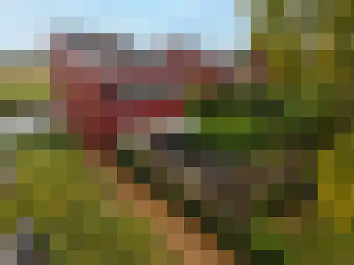 Tureluur 15 Waspik thumbnail 12